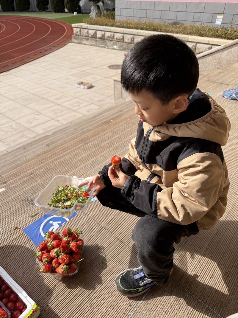 草莓3.jpg